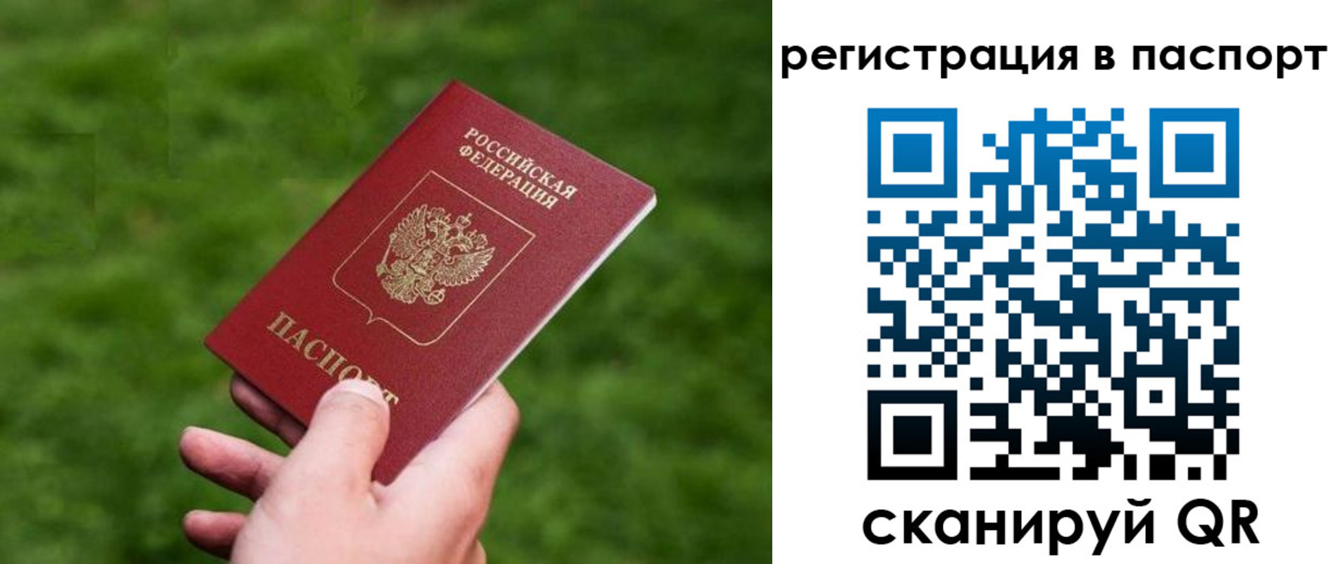 пропишу в квартире в Липецкая области